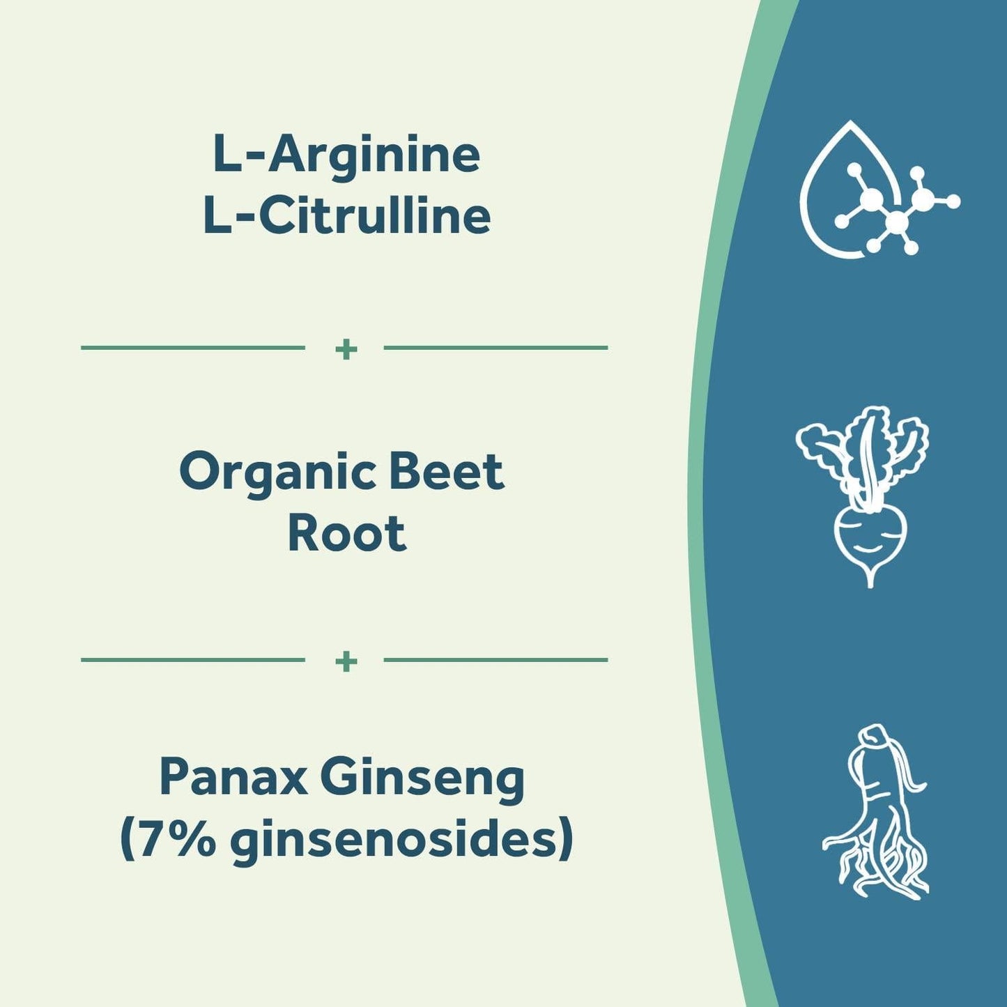 Doctor s Recipes L-Arginine for Men and Women 90 Caps, AAKG, L-Citrulline, Beet Root and Panax Ginseng, 2250 mg High Dose NO Booster for Muscle, Vascularity, Performance, Energy and Heart Health, Non-GMO