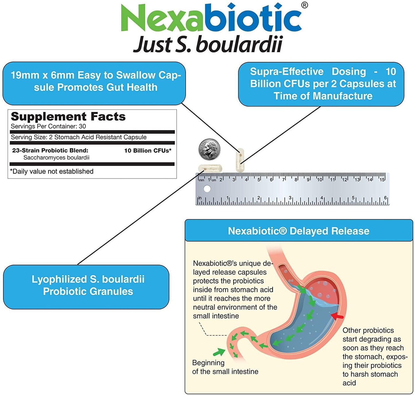 DrFormulas Saccharomyces Boulardii Probiotic 10 Billion CFUs | Nexabiotic S boulardii, Immune and Digestive Support Supplement, 60 Stomach Acid Resistant Probiotics Capsules