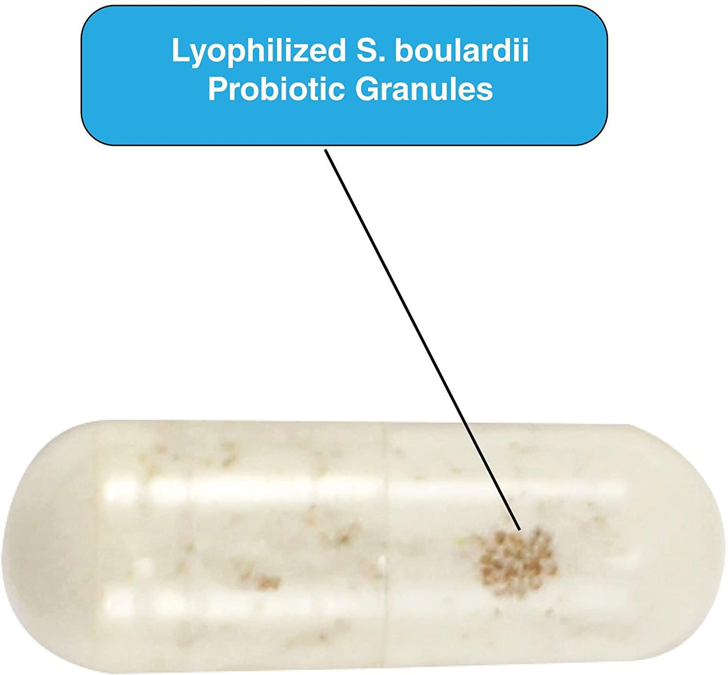 DrFormulas Saccharomyces Boulardii Probiotic 10 Billion CFUs | Nexabiotic S boulardii, Immune and Digestive Support Supplement, 60 Stomach Acid Resistant Probiotics Capsules