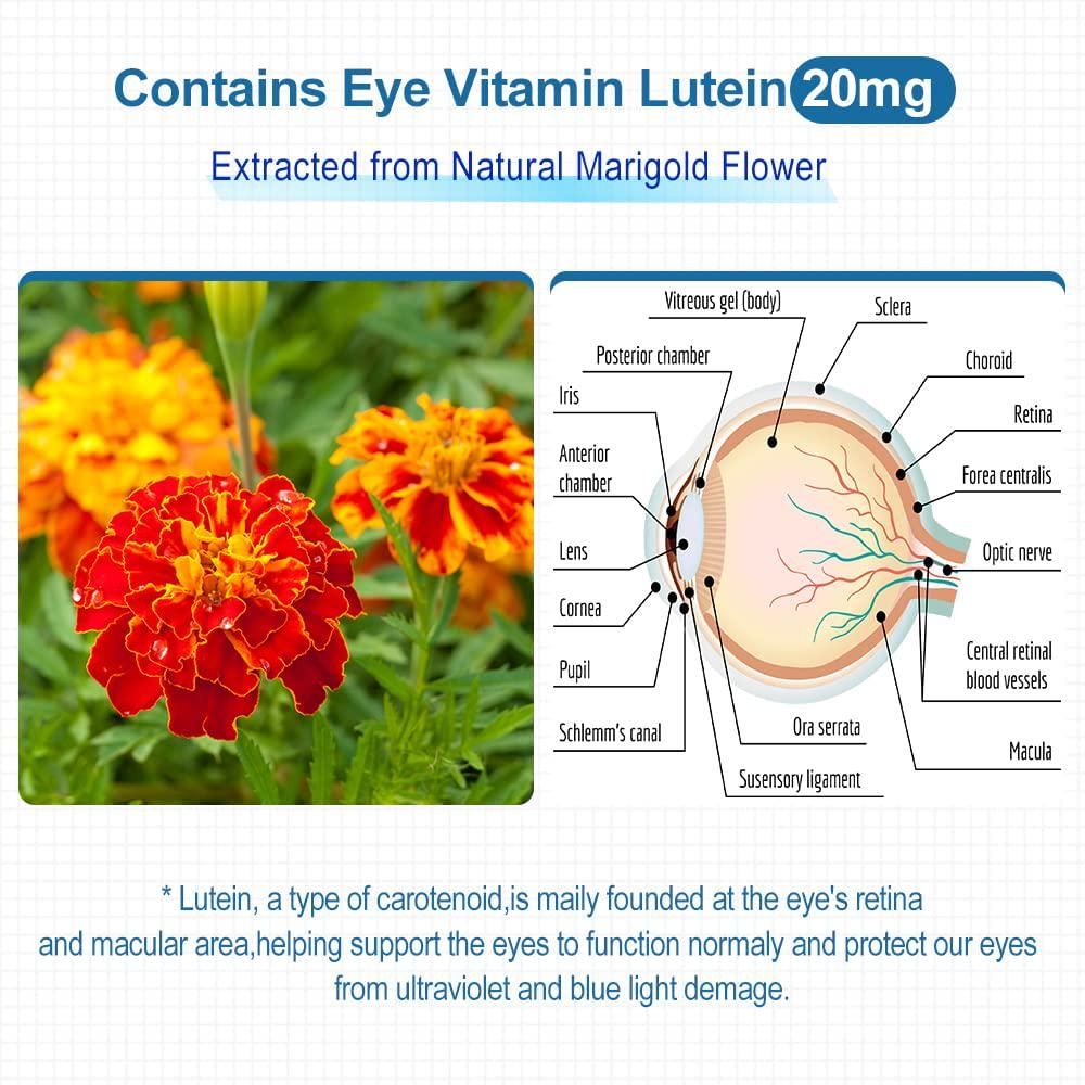 Dr.Brian Eye Vitamins Supplements Contains Lutein 20mg, Omega 3 Fish Oil 700mg, Vitamin A, E, Zinc for Eye Vision Brain Health Care Eye Macular Degeneration Supplements Dry Eyes Adults 90 Capsules