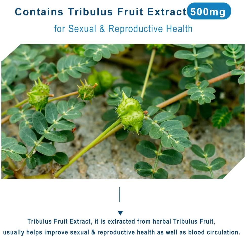 Dr.Brian ROETTGER Man Power Maca Arginie 650 60 Capsules, L-Arginine, Ginseng Root, Maca Root, Supplement for Helping Maintain Precursor of Nitric Oxide, Healthy Blood Vessel Tone, Activity for Men