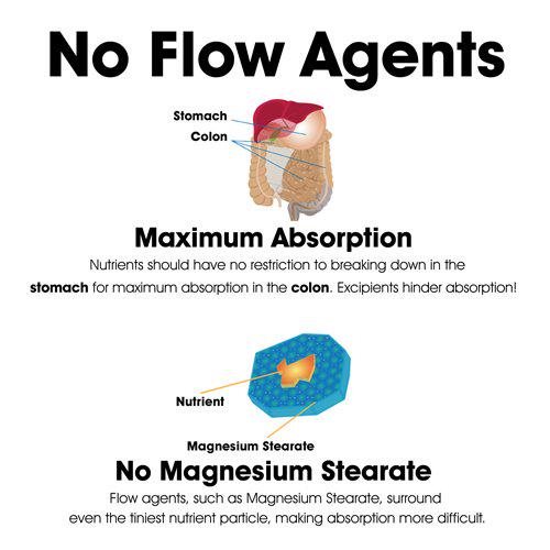 Dr. Clark Vitamin B2 Supplement, 300mg, 100 Capsules