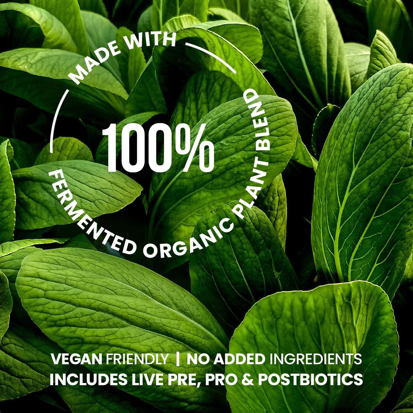 Dr. Eric Snow Green Power Dietary Supplement, Highly Absorbent Organic Green Superfood Capsules, 150 Capsules