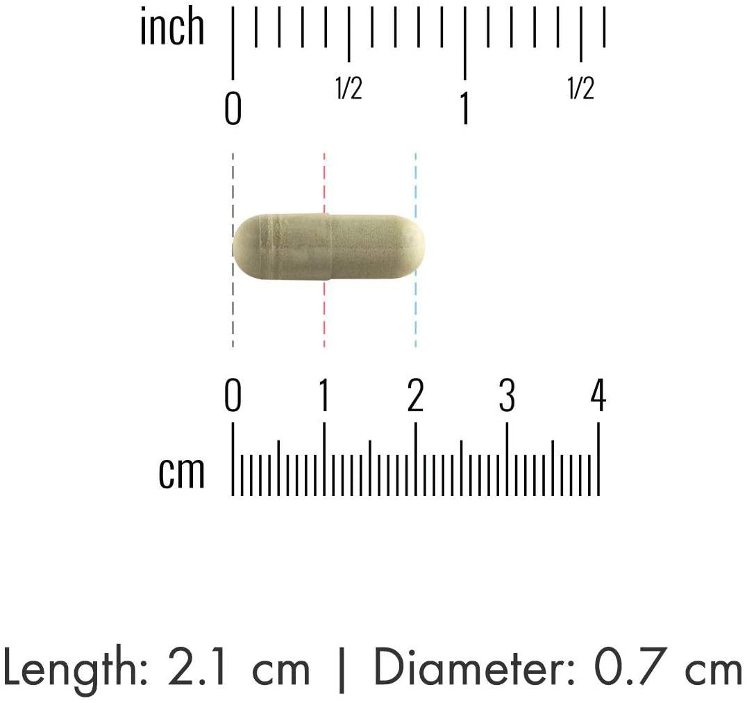 Dr Mercola Lumbrokinase Enzymes 30 Capsules