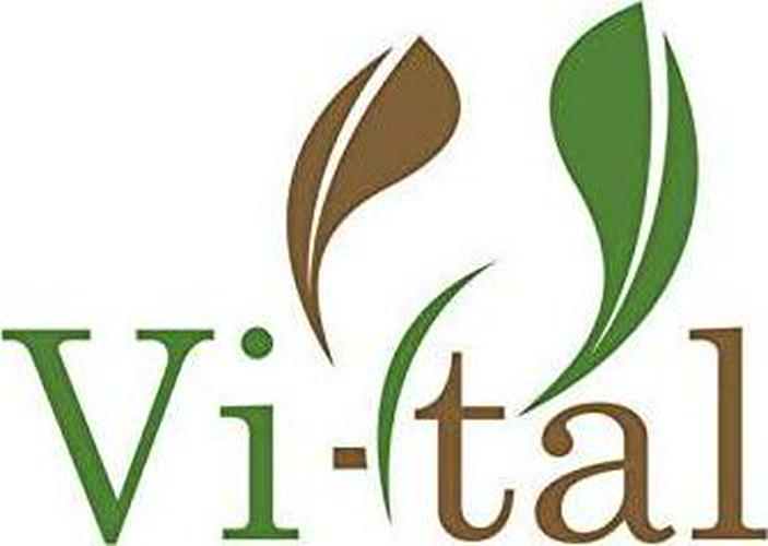 Dr. Miller's Holy Tea, Weight Loss, Detox, Energy -4 Gallons, 15 Mins- Basic Tea Brewing Kit-