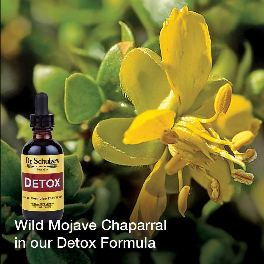 Dr. Schulze s | 5-Day Kidney Detox | Detoxes and Cleanses Bladder | Herbal Dietary Supplement | Weight Loss Aid | Dissolves Kidney and Bladder Deposits | Support Urinary Tract Health