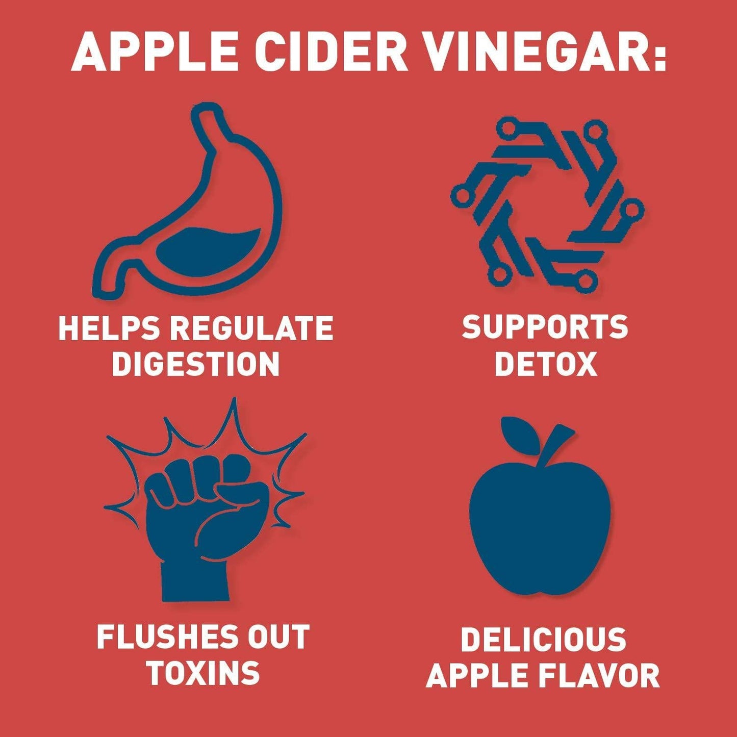 Dr. Tobias Apple Cider Vinegar Gummies, Supports Gut Health, Cleanse and Detox, Includes 500mg Apple Cider Vinegar with Mother, Folate and B12. Vegan and Gluten-Free, 2 Packs of 60 Gummies Each (1 Daily)