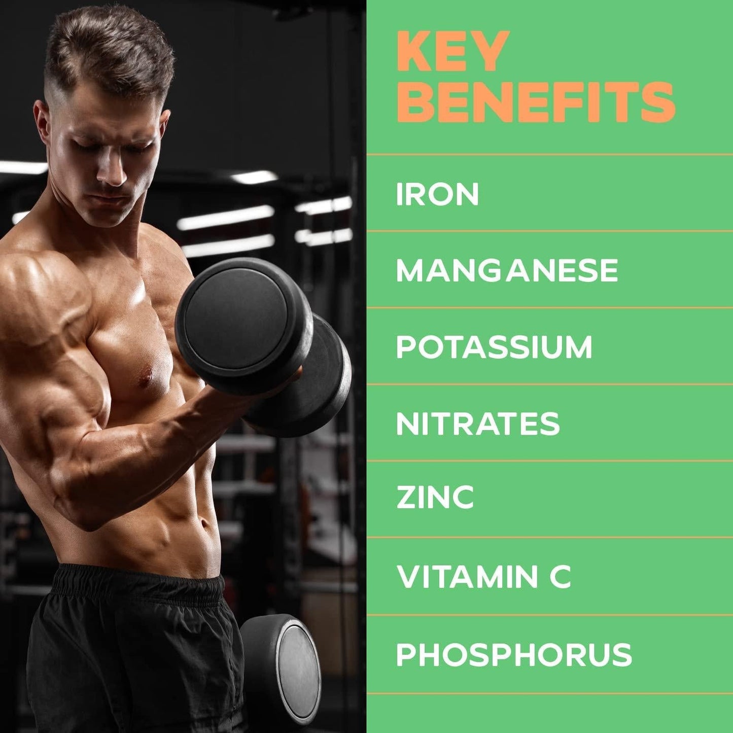 Drybox Organic Beetroot Powder, Pure Non-GMO Beets Superfood Supplement, Nitric Oxide Booster for Increase Energy and Stamina, Supports Healthy Blood Pressure and Circulation, 7 Ounces (200 Grams)