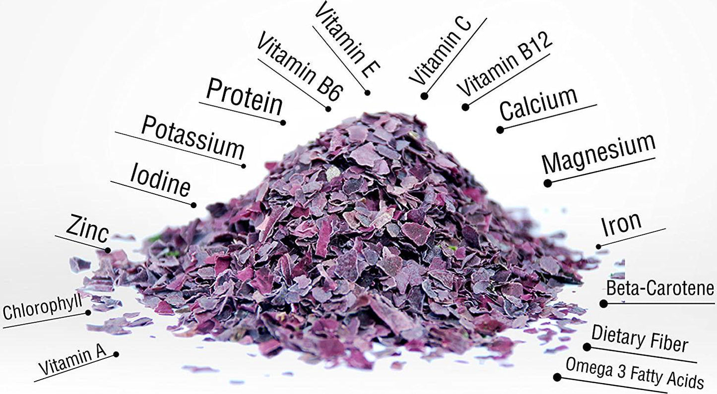 Dulse Capsules - Certified Organic 650 MG PER Capsule, 90 Count Bottle - The Same Source Used by Dr. Lorn Allison in The Master The Body Clinic!