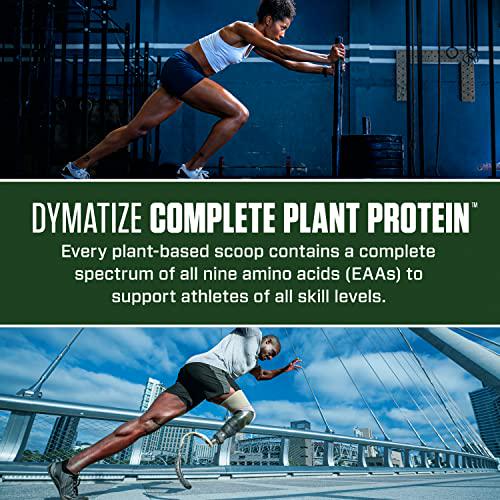 Dymatize Complete Plant Protein, Creamy Chocolate, 25g Protein, 4.8g BCAAs, Complete Amino Acid Profile, 15 Servings