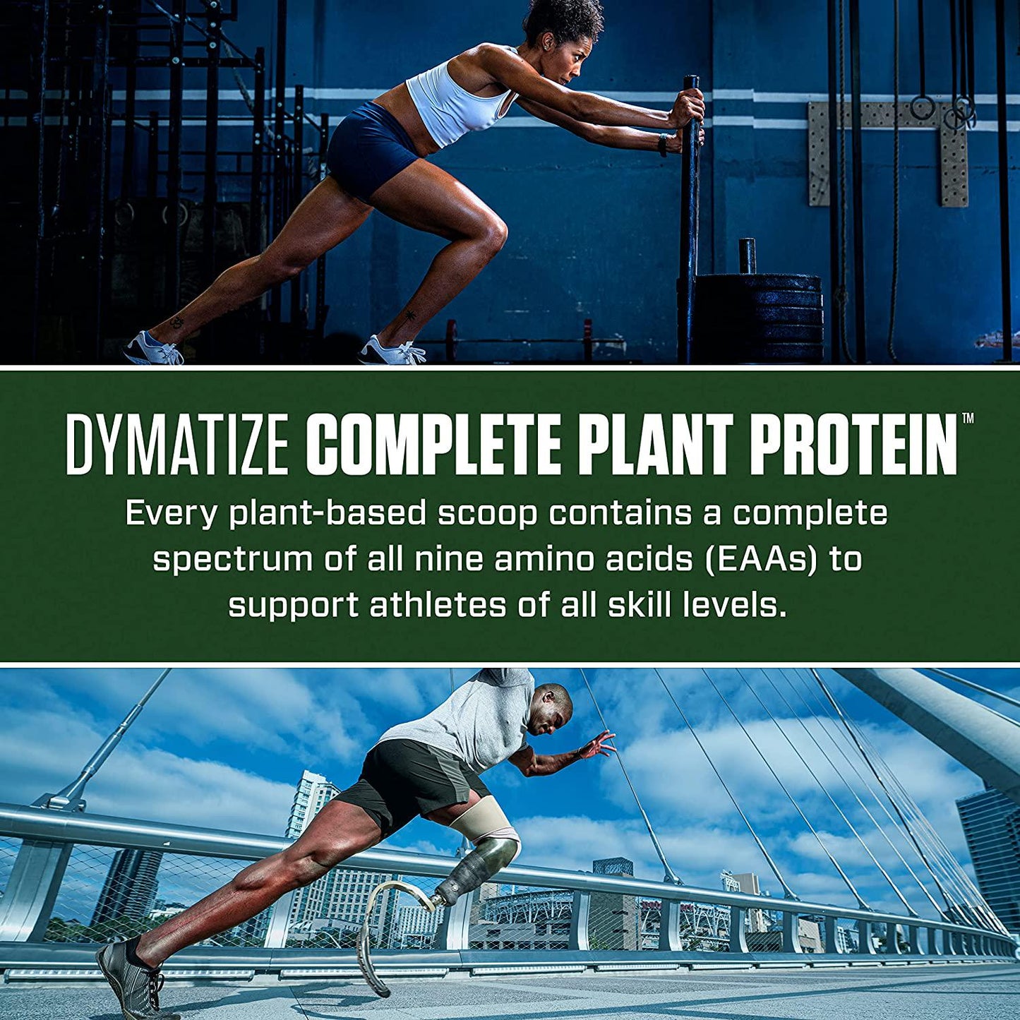 Dymatize Complete Plant Protein, Creamy Chocolate, 25g Protein, 4.8g BCAAs, Complete Amino Acid Profile, 15 Servings