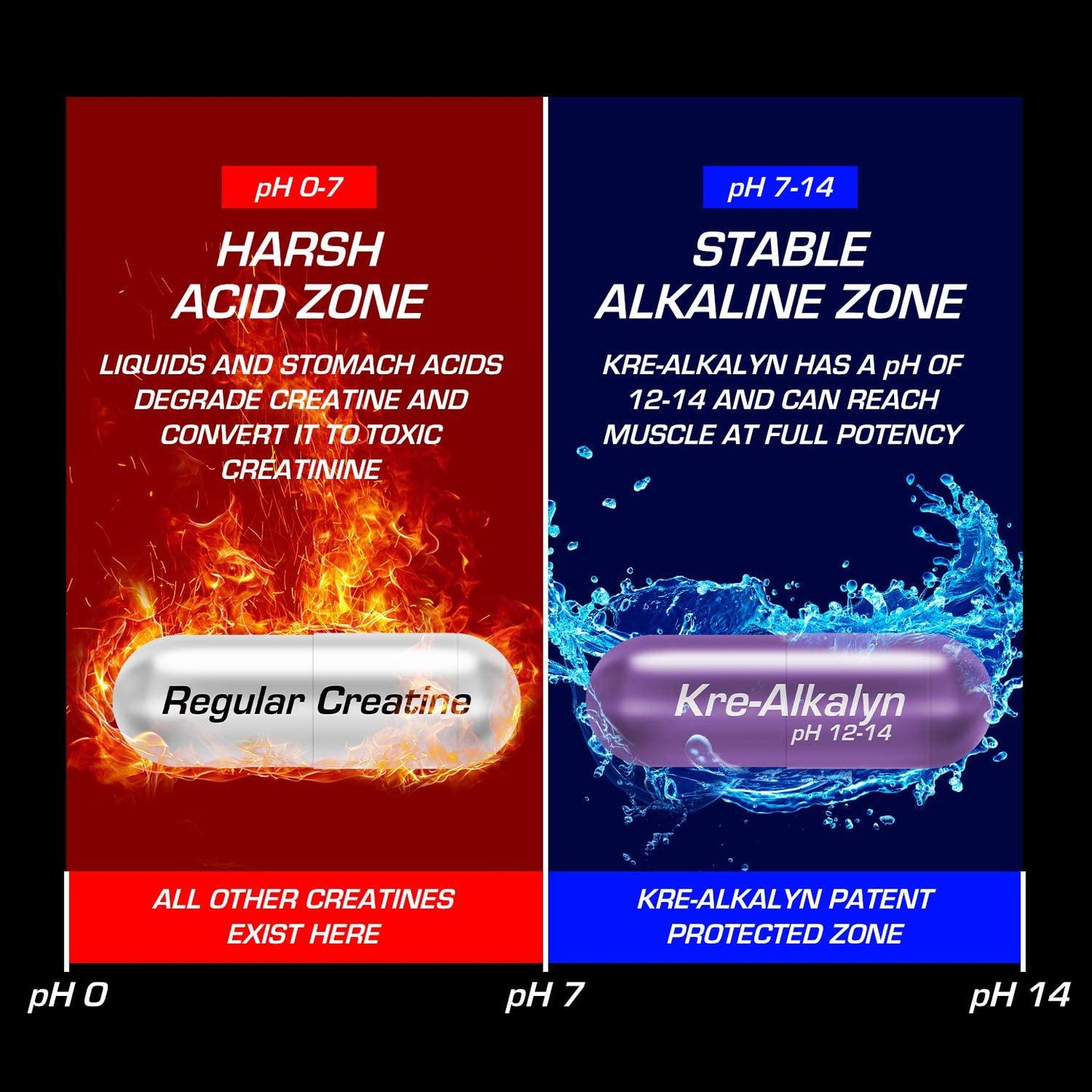 EFX Sports Kre-Alkalyn Powder | PH-Correct Creatine Monohydrate | Multi-Patented Formula, Gain Strength, Build Muscle and Enhance Performance | Watermelon Gummy - 210 Grams / 116 Servings