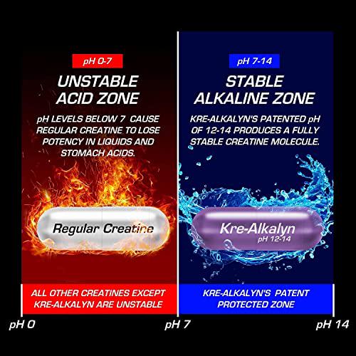 EFX Sports Kre-Alkalyn | PH-Correct Creatine Monohydrate | Multi-Patented Formula, Gain Strength, Build Muscle and Enhance Performance - 120 Capsules / 60 Servings