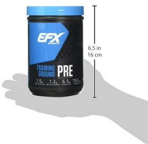 EFX Sports Training Ground Pre Workout Powder, Orange Mango, 500 Gram