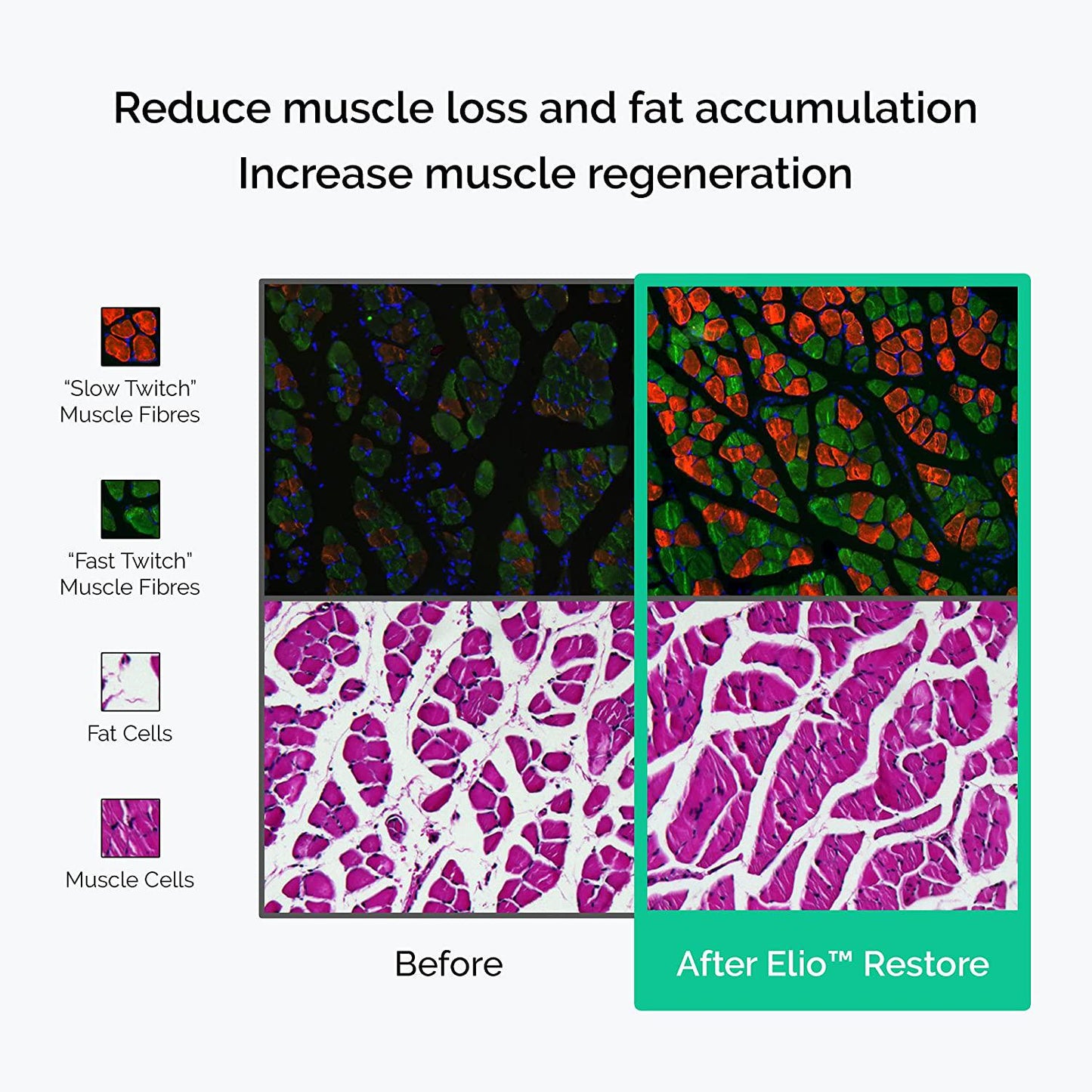 ELIO Restore NAD+ Boost Supplement – Healthy Aging Formula – Transform Cellular Health and Vitality (Works with Nicotinamide Riboside) – Energy, Repair and Metabolism Support – 120 Capsules