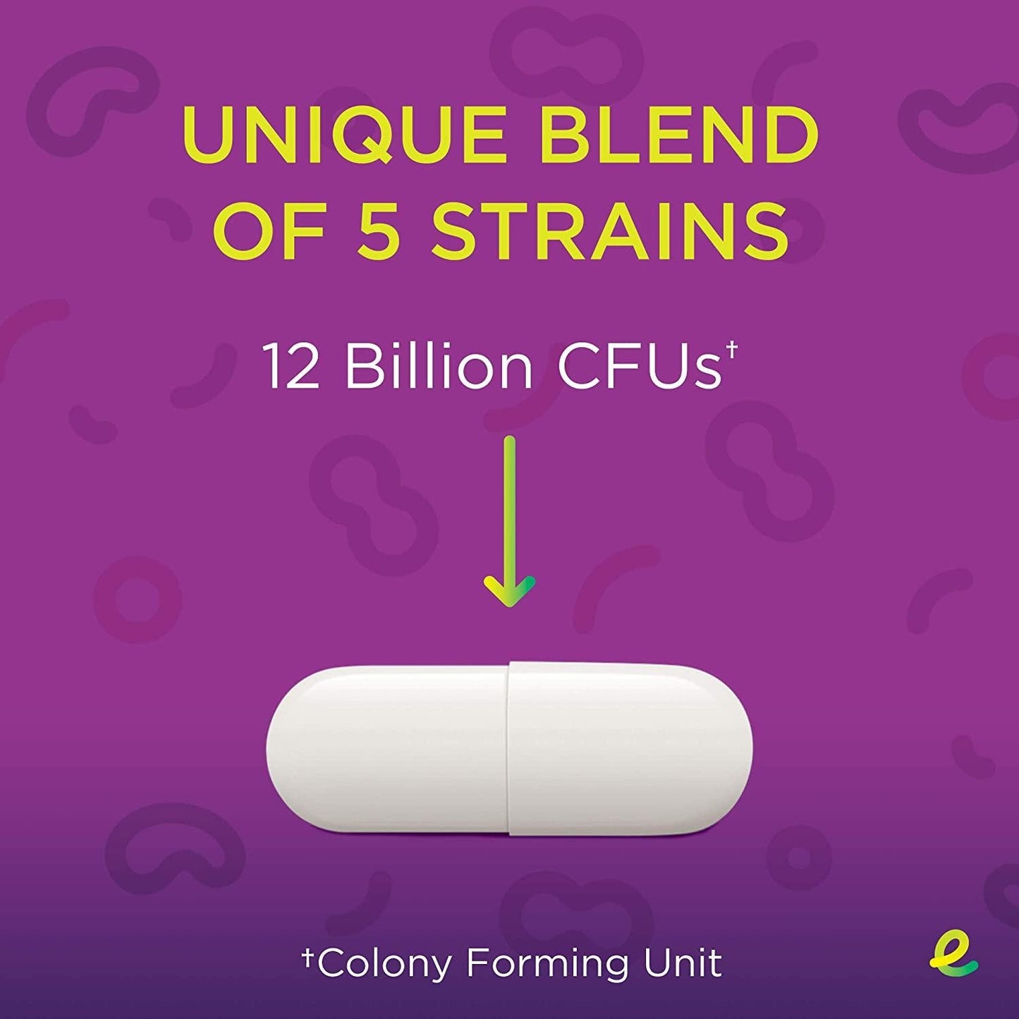 ENVIVE Daily Probiotic Supplement for Men and Women, Helps Strengthen and Protect the Digestive System*, 30 Capsules