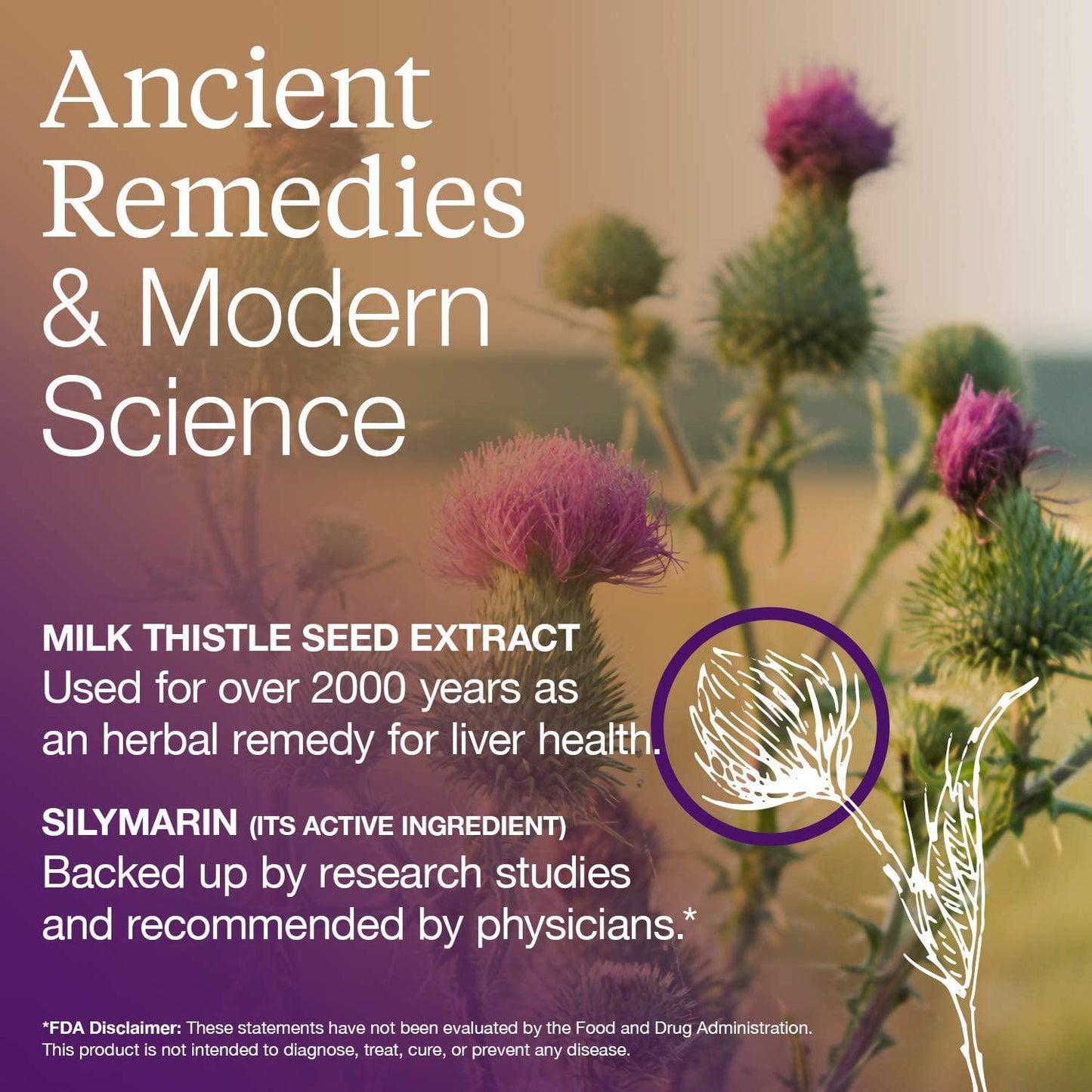 EThistle Liver Wellness Dietary Supplement, Milk Thistle and Vitamin E Liver Health Formula, 180 Caplets