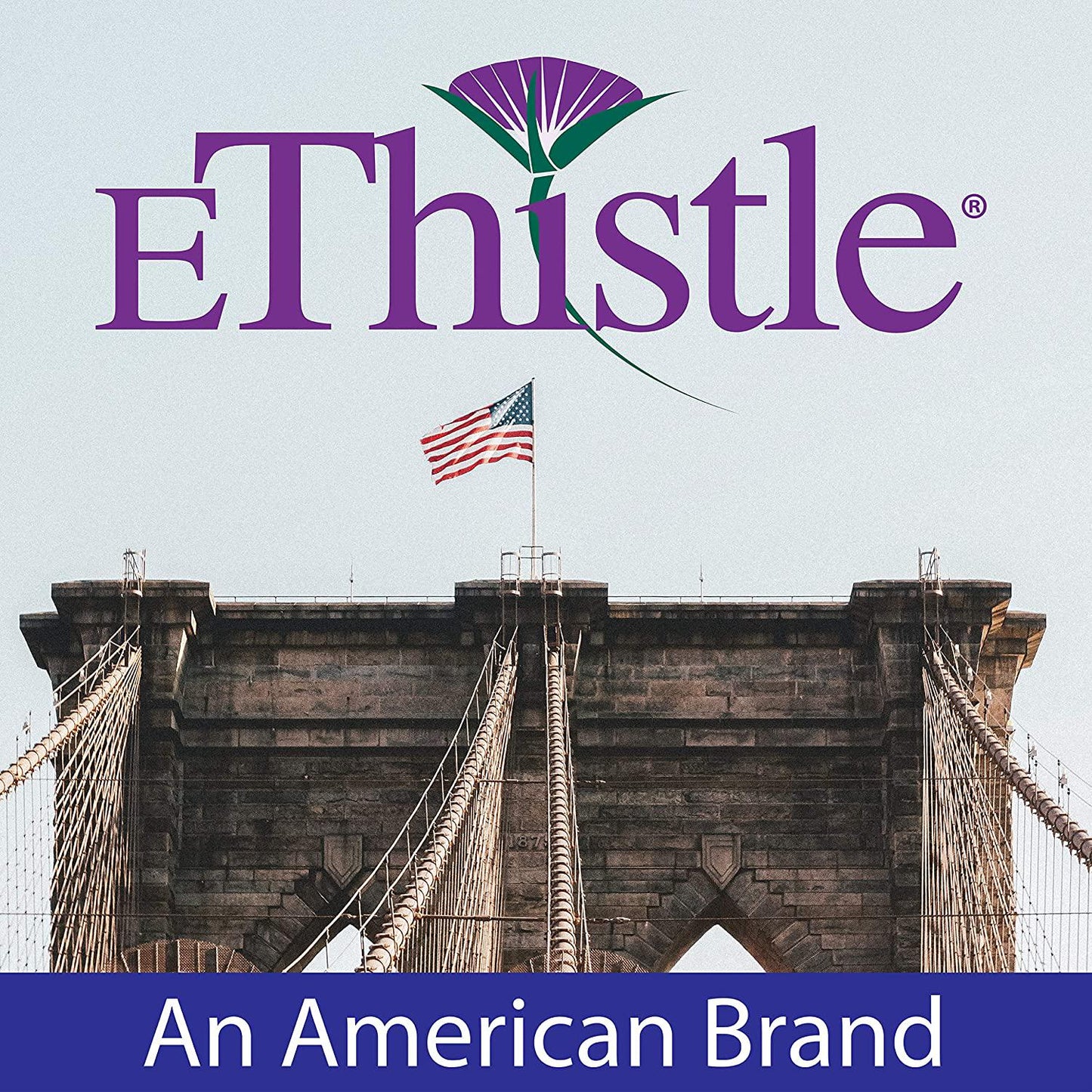 EThistle Liver Wellness Dietary Supplement, Milk Thistle and Vitamin E Liver Health Formula, 180 Caplets