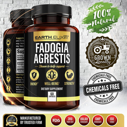 Earth Elixir Fadogia Agrestis Supplements 600mg (60 Capsules) 2 Month Supply Zero Fillers - Gluten Free - Non-GMO Vegan Capsules, Fadogia Agrestis Extract