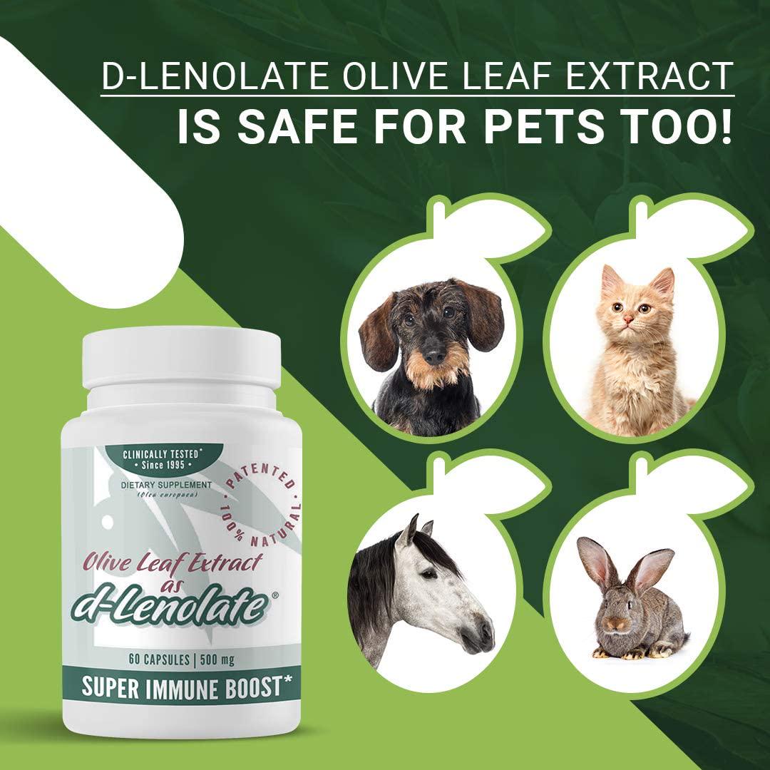 East Park Olive Leaf Extract (OLE) Super Strength d-Lenolate 500mg | 18% or More Oleuropein Immune System Booster | 60 Vegetarian Capsules (Non-GMO)