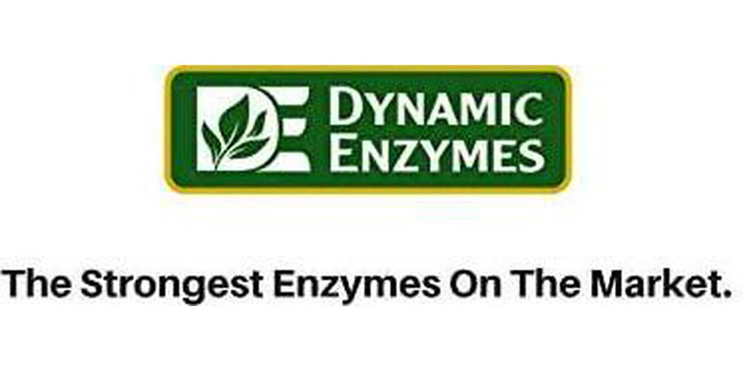 Eat E-Z Gluten+ (30 Vegan Capsules) - Gluten Digestion, Leaky Gut, DPP VI, Protease, Non-GMO, Plant Based