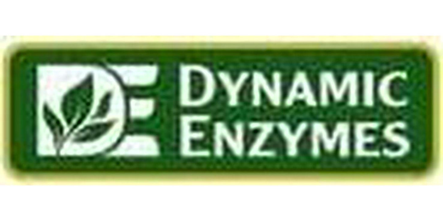 Eat E-Z Original (90 Vegan Capsules) Complete Digestive Enzyme Supplement; Anti-Bloating; Gut Health.