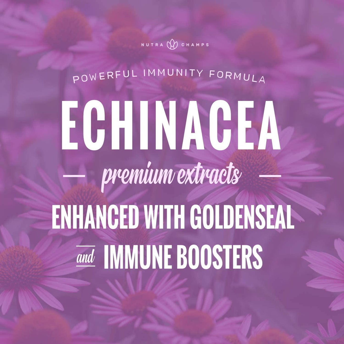 Echinacea Extract 1000mg Supplement with Goldenseal, Elderberry, Organic Reishi, Ginger, Vitamin C and Zinc - BioPerine for Superior Absorption - Immune System Boost and Overall Wellness Vegan Capsules