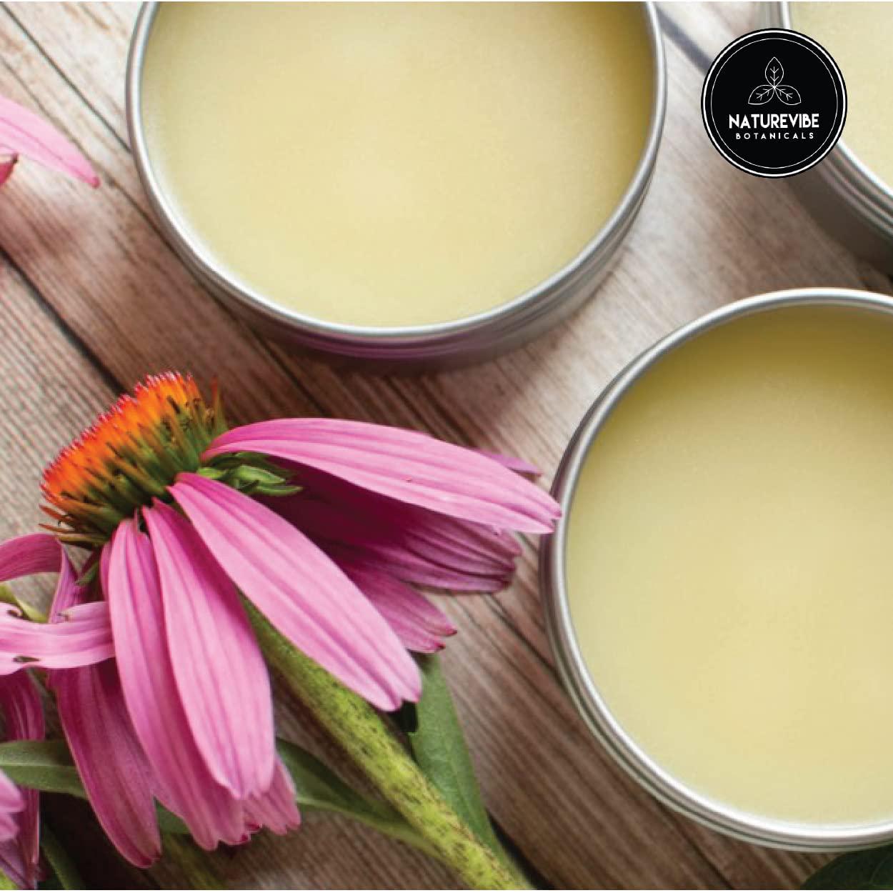 Echinacea Extract Powder (3.52oz)