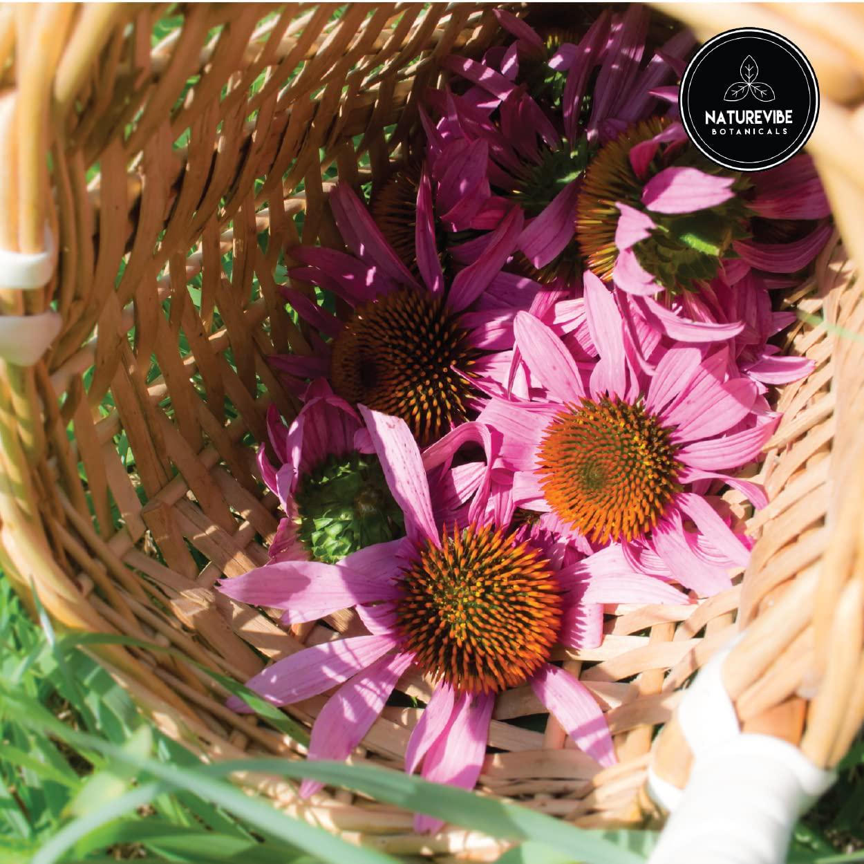 Echinacea Extract Powder (3.52oz)