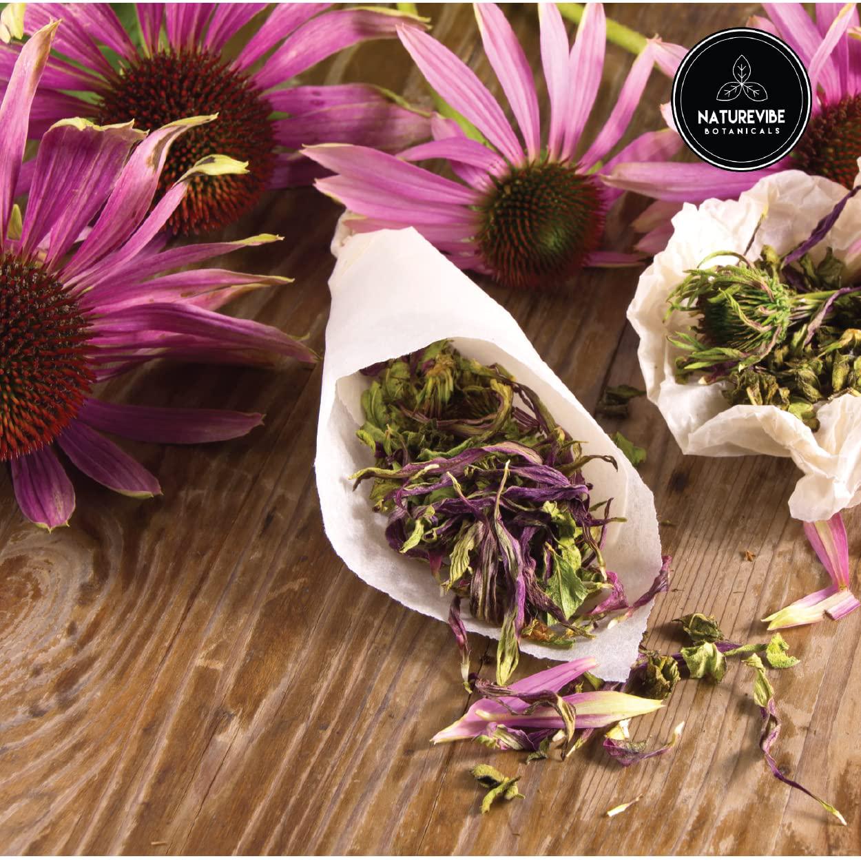 Echinacea Extract Powder (3.52oz)