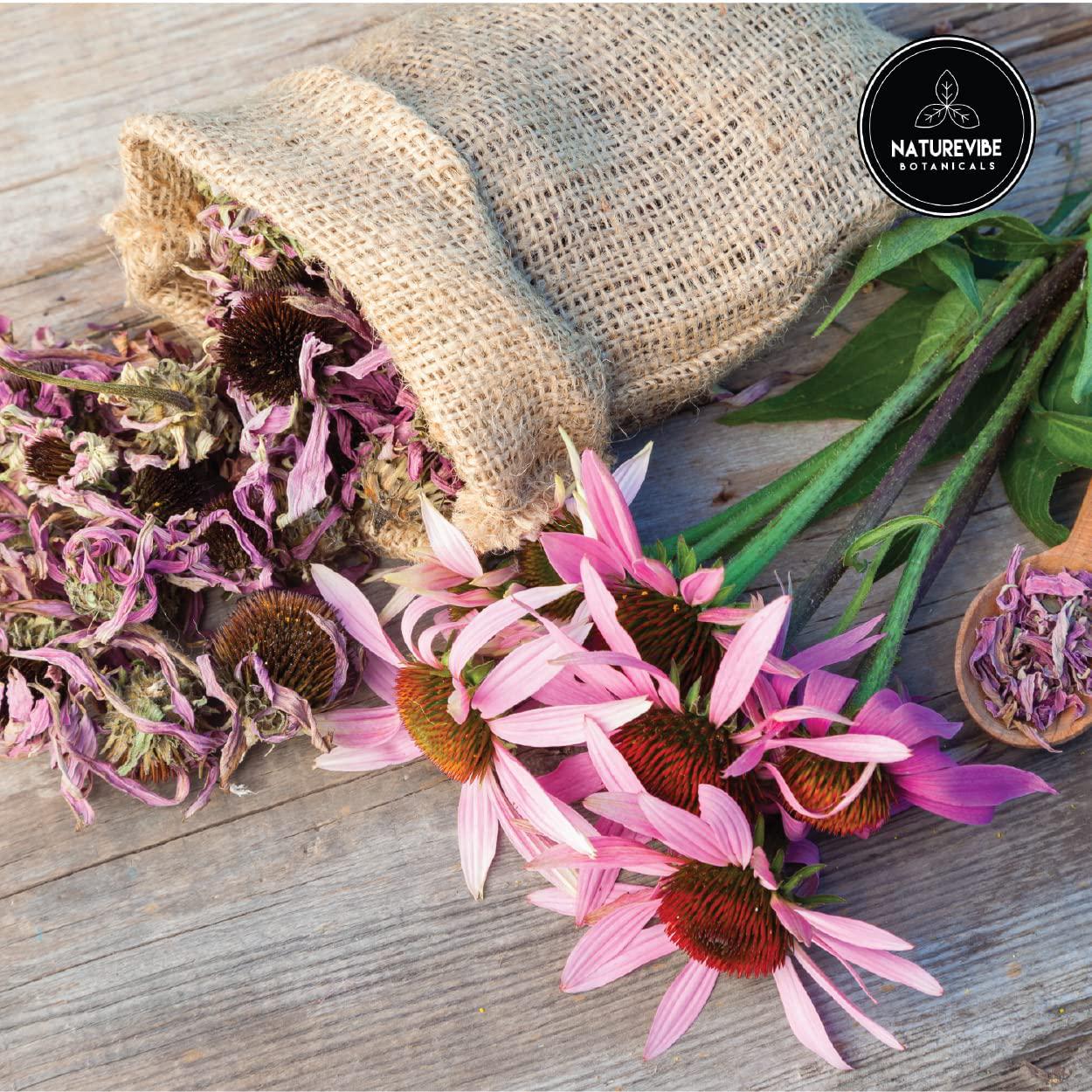 Echinacea Extract Powder (3.52oz)