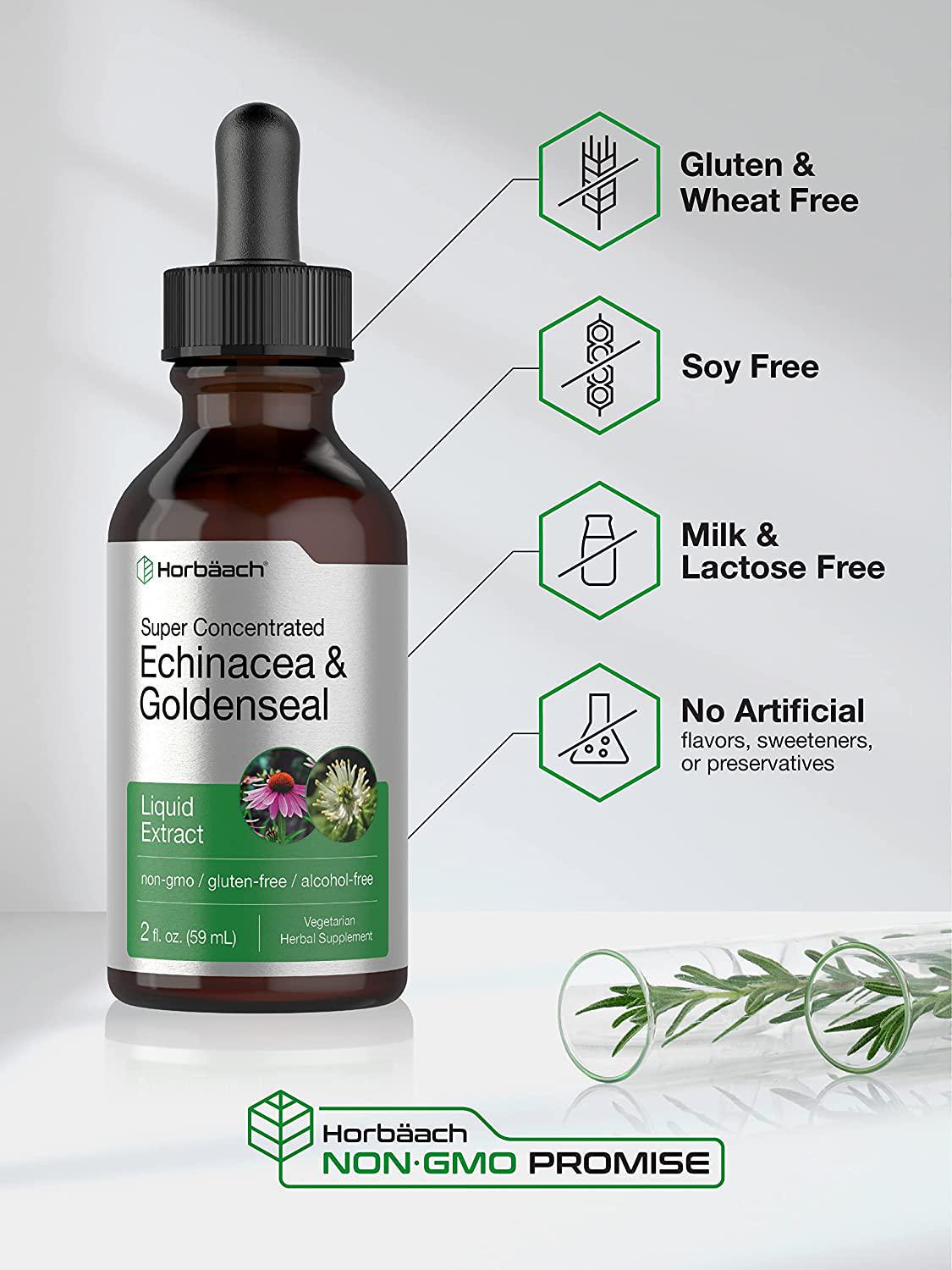 Echinacea Goldenseal Liquid Extract | 2 fl oz | Alcohol Free Tincture Drops | Vegetarian, Non-GMO, Gluten Free | by Horbaach