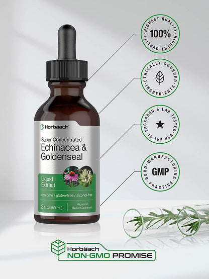 Echinacea Goldenseal Liquid Extract | 2 fl oz | Alcohol Free Tincture Drops | Vegetarian, Non-GMO, Gluten Free | by Horbaach