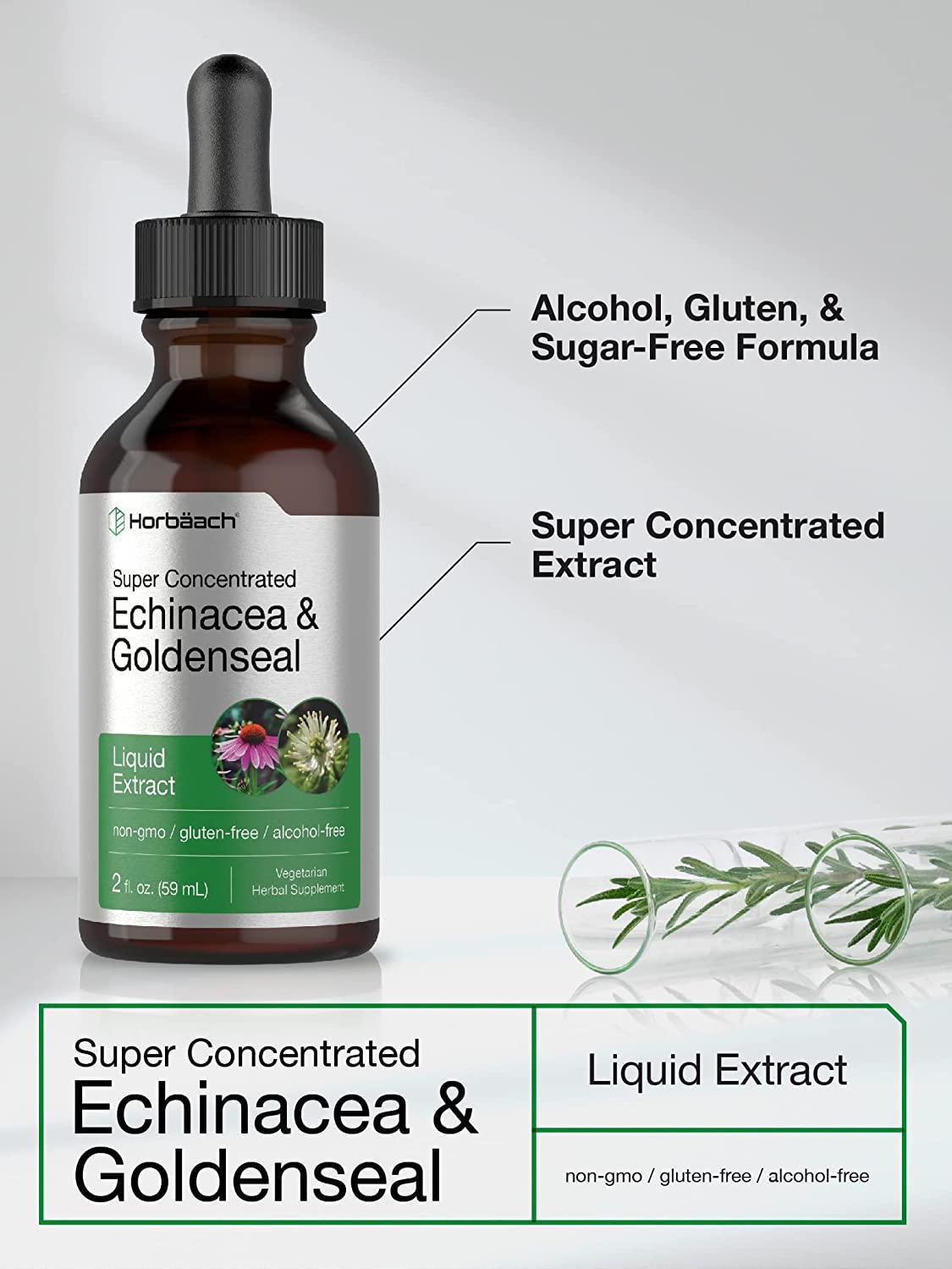 Echinacea Goldenseal Liquid Extract | 2 fl oz | Alcohol Free Tincture Drops | Vegetarian, Non-GMO, Gluten Free | by Horbaach