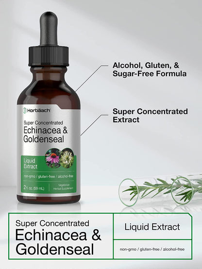 Echinacea Goldenseal Liquid Extract | 2 fl oz | Alcohol Free Tincture Drops | Vegetarian, Non-GMO, Gluten Free | by Horbaach