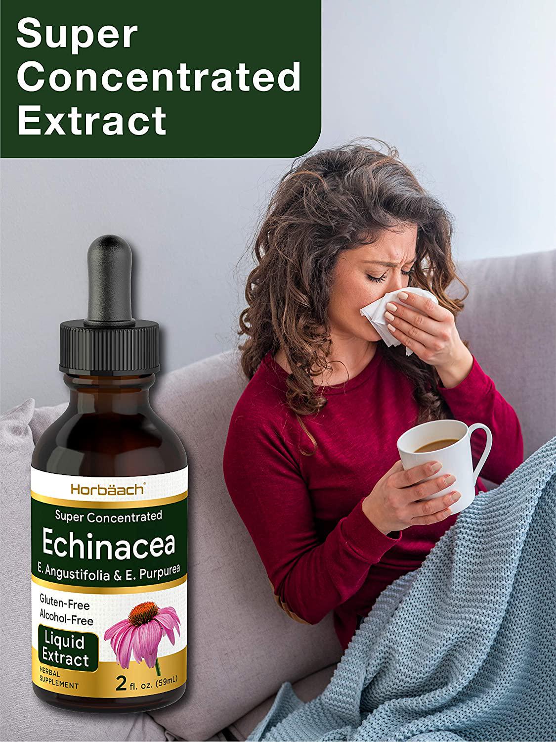 Echinacea Liquid Extract 2 oz | Super Concentrated | Alcohol Free, Vegetarian, Non-GMO, and Gluten Free | by Horbaach