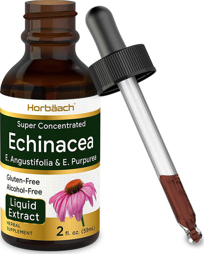 Echinacea Liquid Extract 2 oz | Super Concentrated | Alcohol Free, Vegetarian, Non-GMO, and Gluten Free | by Horbaach