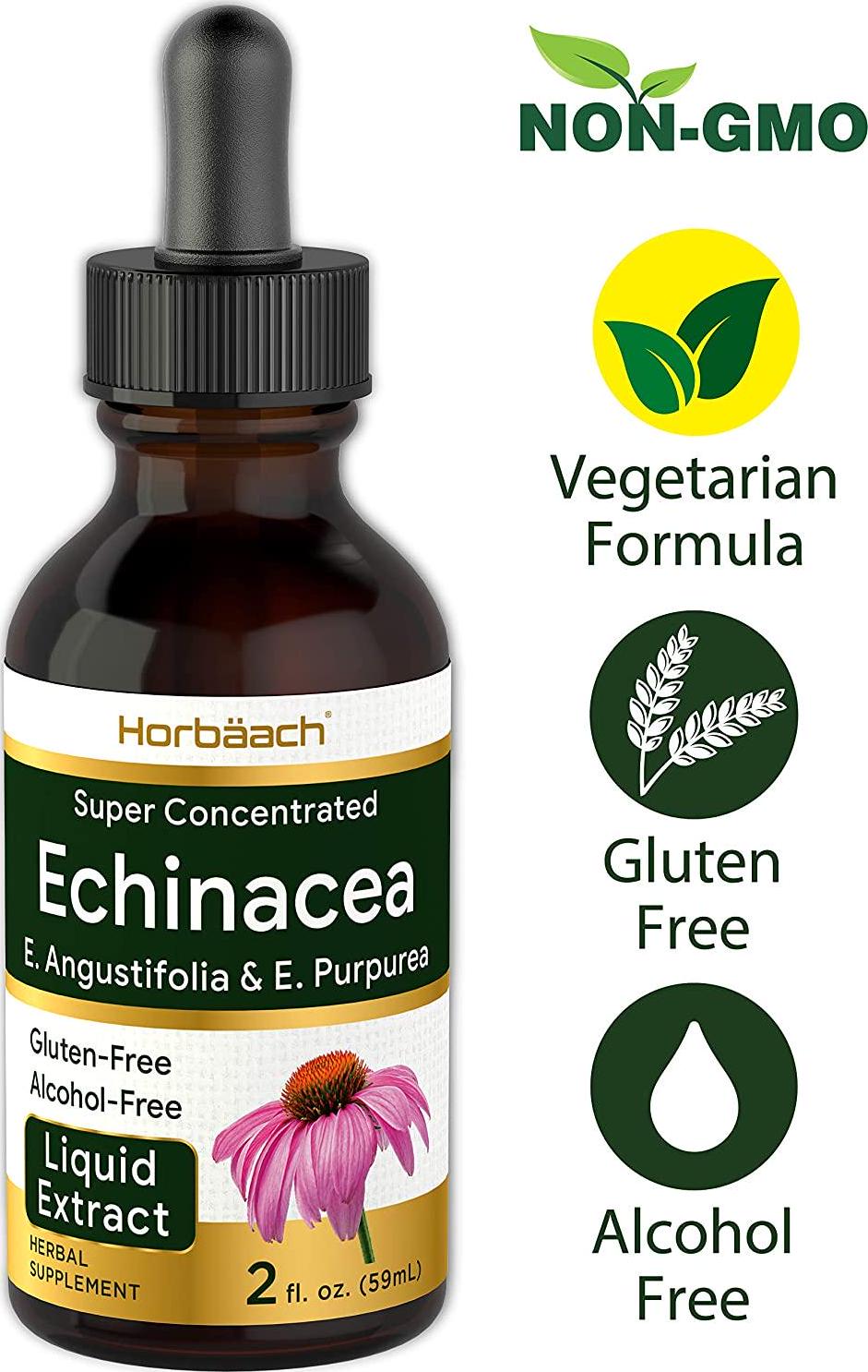 Echinacea Liquid Extract 2 oz | Super Concentrated | Alcohol Free, Vegetarian, Non-GMO, and Gluten Free | by Horbaach