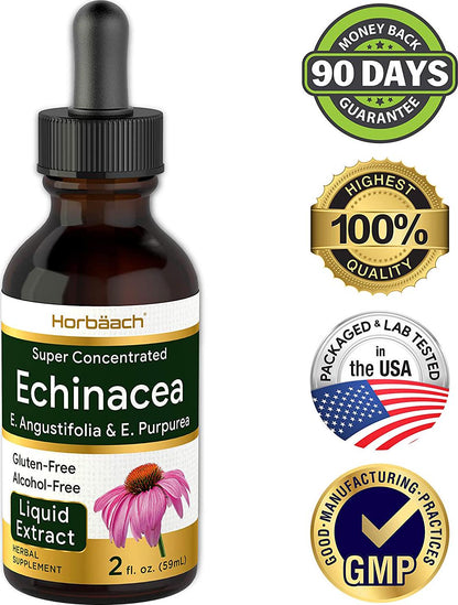 Echinacea Liquid Extract 2 oz | Super Concentrated | Alcohol Free, Vegetarian, Non-GMO, and Gluten Free | by Horbaach