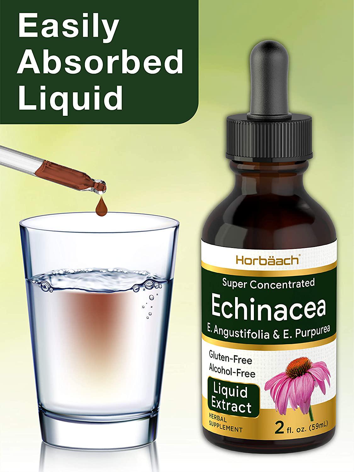 Echinacea Liquid Extract 2 oz | Super Concentrated | Alcohol Free, Vegetarian, Non-GMO, and Gluten Free | by Horbaach