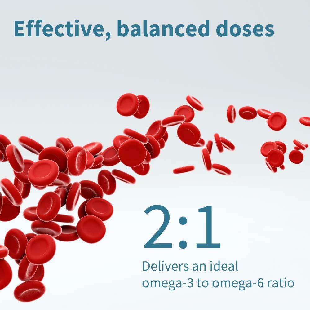 Echiomega Vegan Omega 3 6 9 1000 Mg, Echium Seed Oil, 60 Softgels