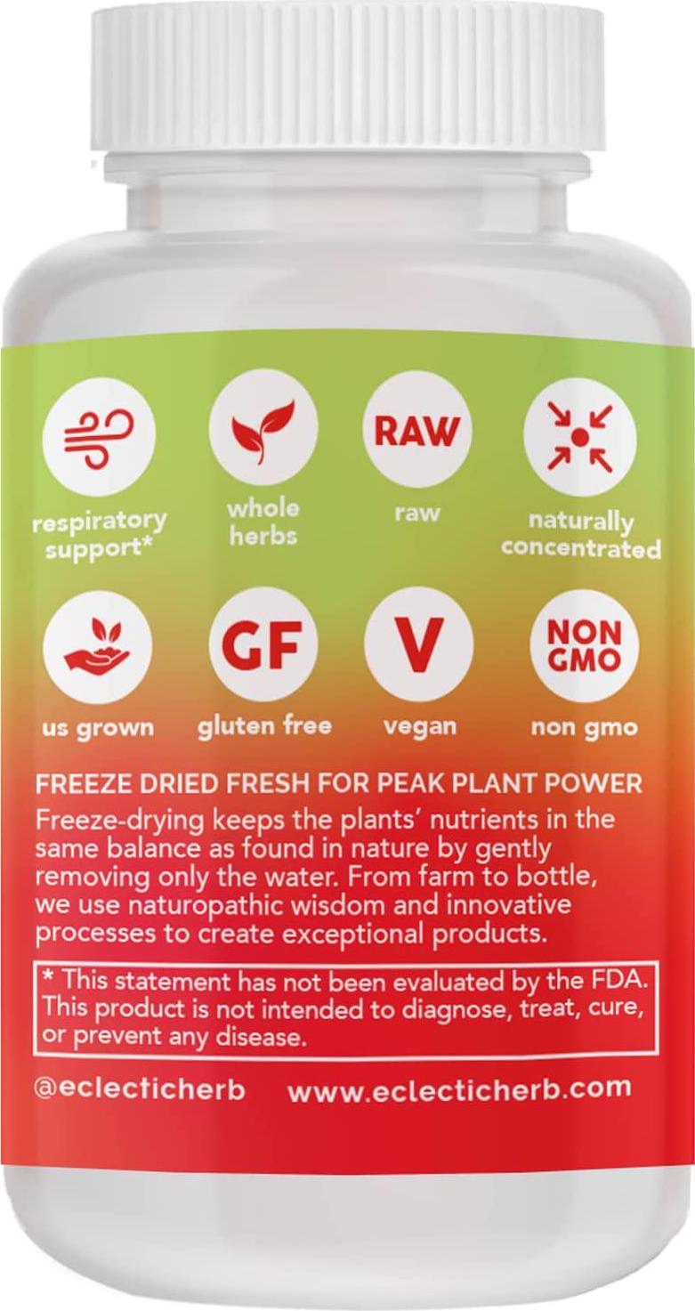 Eclectic Institute Nettle 300 mg 90 Veggie Caps