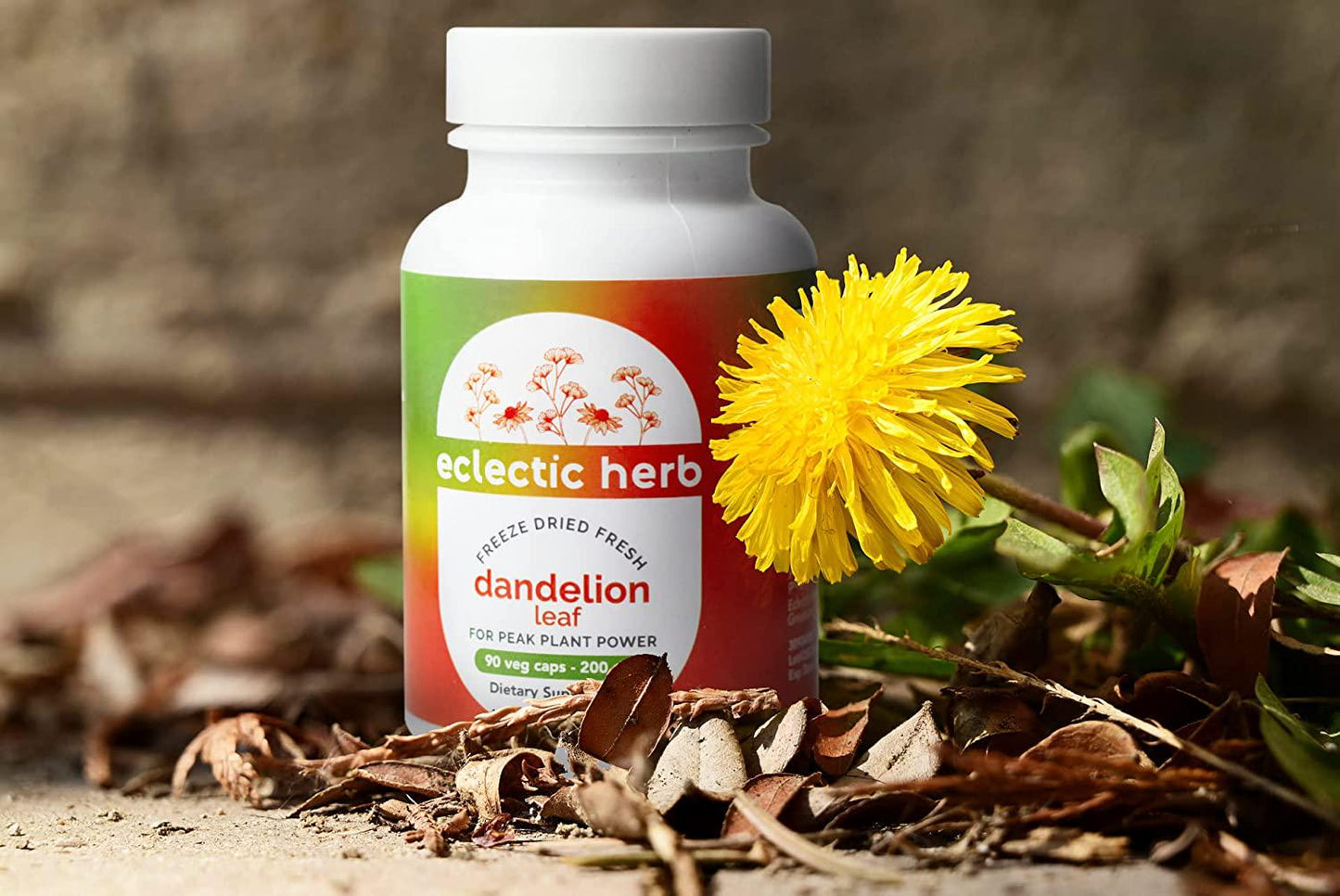 Eclectic Institute Raw Freeze-Dried Dandelion Leaf | Organic Supplement to Support Cleansing and Digestive Function | 90 CT (200 mg)