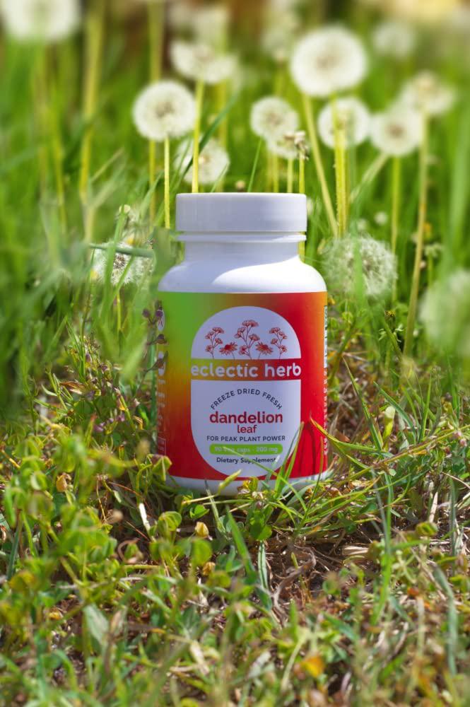 Eclectic Institute Raw Freeze-Dried Dandelion Leaf | Organic Supplement to Support Cleansing and Digestive Function | 90 CT (200 mg)