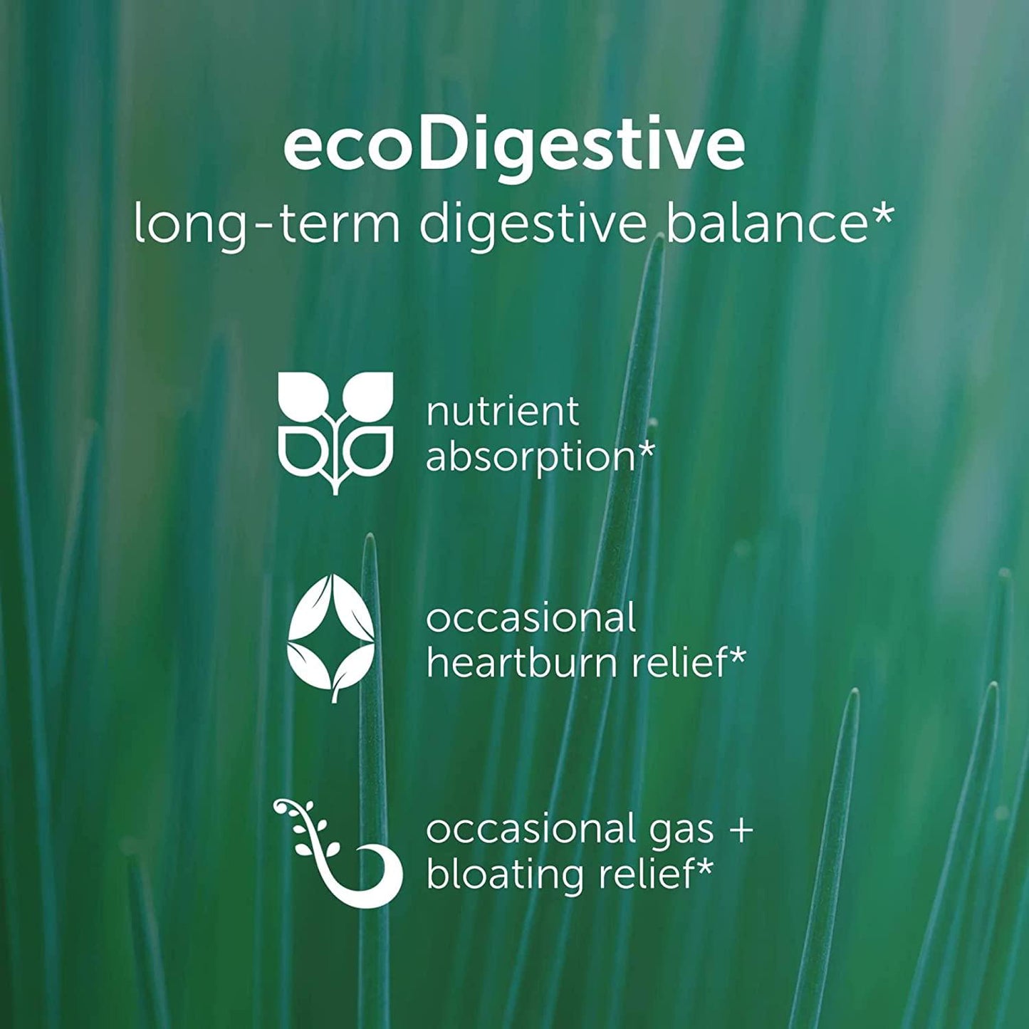 EcoNugenics - Integrative Digestive Formula - 60 Capsules - Digestive Support - Herbs, Medicinal Mushrooms and Enzymes - Relief from Heartburn, Indigestion, GERD Acid Reflux, Gas, Nausea and Bloating