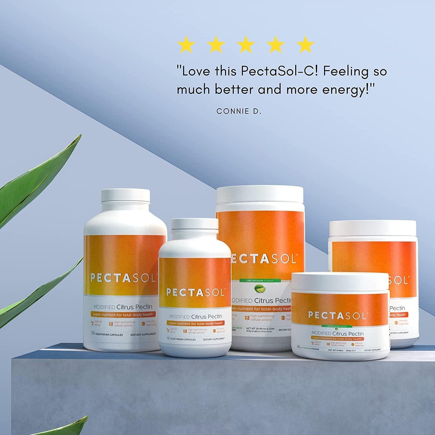 EcoNugenics PectaSol Modified Citrus Pectin for Total-Body Health and Optimal Aging - Clinically Researched and Patented - Daily Super-Nutrient for High Performing Cells - Immune Balancing - Safe Detox (270 Capsules)