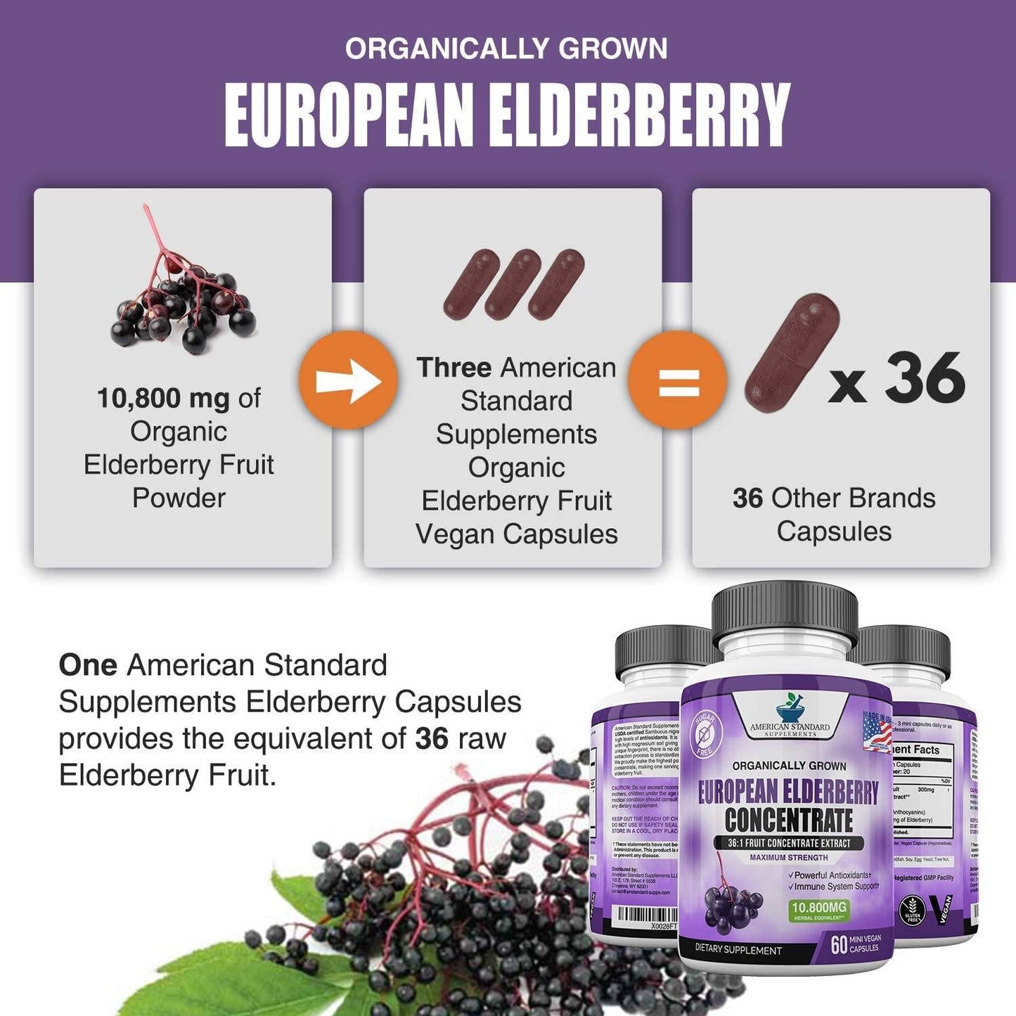 Elderberry European Organic Sambucus Nigra 10,800 miligram per Serving or 3600 miligram Per Capsules, 36x Concentrated Fruit Extract, Immune Support and Powerful Antioxidants, 60 Mini Vegan Capsules
