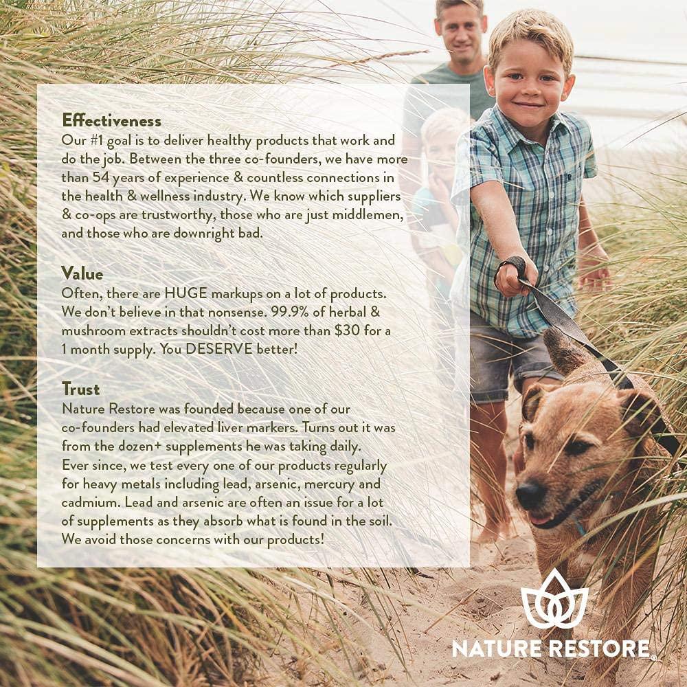 Elderberry Extract Supplement, 10 to 1 Extract, 90 Elderberry Capsules, Non GMO, Gluten Free, Vegan