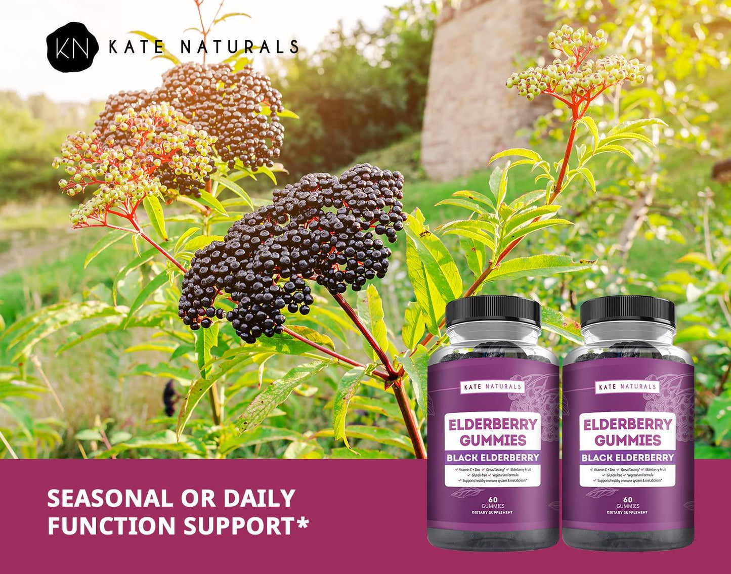 Elderberry Gummies for Adults - Kate Naturals. Perfect for Immune System Support and Metabolism. Raspberry Flavor. Has Vitamin C and Zinc. Sambucus Nigra. Tasty Vitamins Alternatives. (2 Pack)