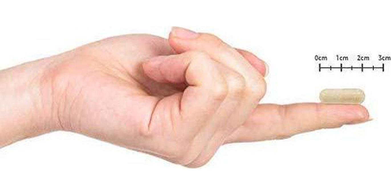 Elderberry Immune Support with Vitamin C, Zinc, Echinacea and Garlic